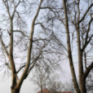 Városi Strandfürdő - vizes próbaüzem