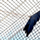 Brüsszel egy ceglédi objektíven keresztül