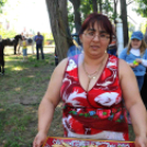 Csemői - Anyám tyúkja