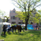 650 perc sport - futóverseny