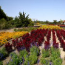 Kováts Zoltán Emlékülés Csemőben