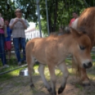 Gyermeknap a Szabadság téren