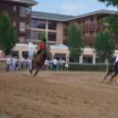 Bor és laskafesztivál - II