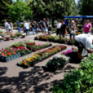 25. Dél-Pest Megyei Anyák Napi Virágvásár és Anyám Tyúkja Főzőfesztivál