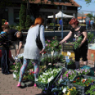 Csemői - Anyám tyúkja