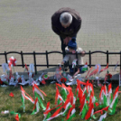 Március 14-15. Cegléd