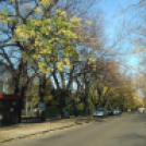 Halló Cegléd - Rákóczi út