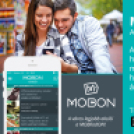 XVII. Ceglédi Bababörze