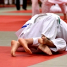 Judo Országos Bajnokság Cegléden