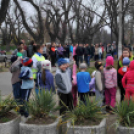 Pest Megyei Futó- és Gyaloglónap