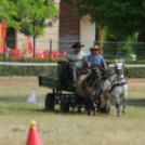Laska fesztivál - szombat délelőtt