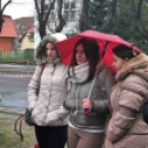 Pest Megyei Futó- és Gyaloglónap