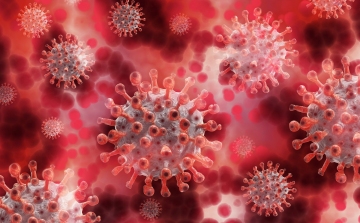 Tájékoztatás a koronavírus járvány alatt segítségre szoruló személyek részére