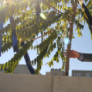 Városi Strandfürdő - Bokrétaünnep