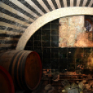 Kíváncsi vagy milyen pincék lapulnak Cegléd alatt?