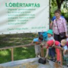 Gyermeknap a Szabadság téren