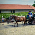 Nyitott Pince Napok - 2014