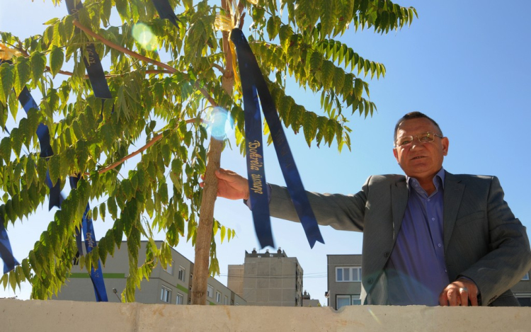 Jézuska hozza a ceglédi uszodát