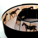 ”Az én hazám az égig ér”