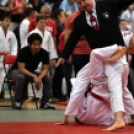 Judo Országos Bajnokság Cegléden