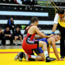 NB I-es birkózó csapatbajnokság -A- csoport