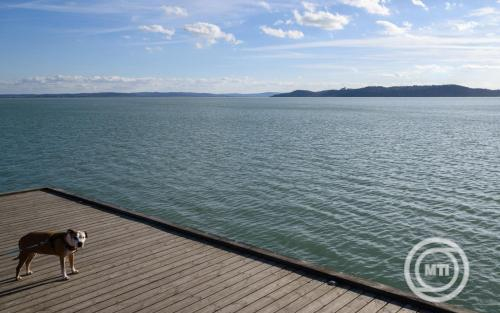 Folytatódik a napos, tavaszias idő ezen a héten is