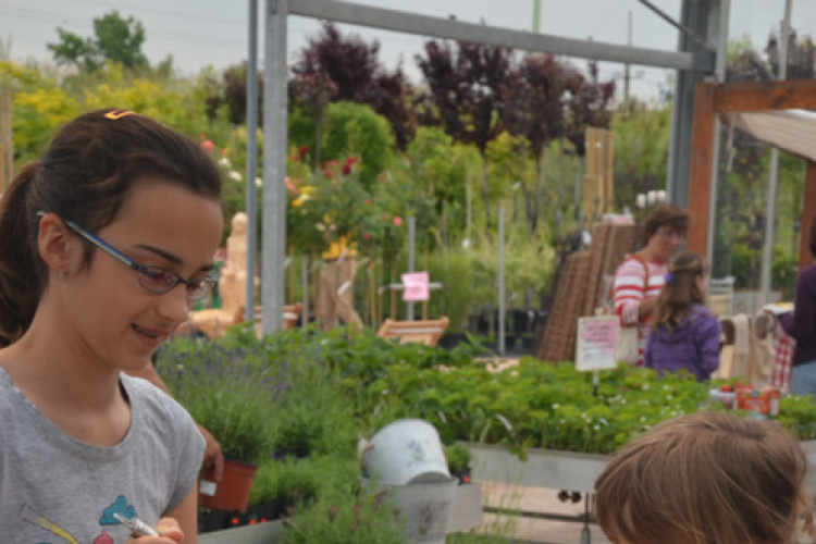 Rózsák Hétvégéje - Oázis Kertészeti Áruház