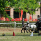 Laska fesztivál - szombat délelőtt