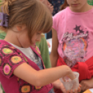 Rózsák Hétvégéje - Oázis Kertészeti Áruház