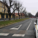 Pest Megyei Futó- és Gyaloglónap