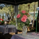 Csemői virágvásár, Anyám Tyúkja Főzőverseny