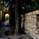 Ordass Lajos köz átadása