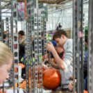 Családi tökfaragás az Oázis Kertészetben