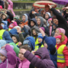 Pest Megyei Futó- és Gyaloglónap