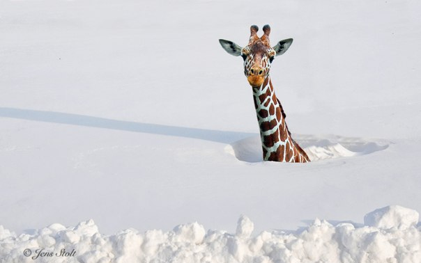 ❄ Akár 20 centi hó is eshet 