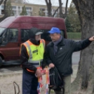 Pest Megyei Futó- és Gyaloglónap