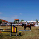 II. Ceglédi Vágta - Kisfaludi István fotói