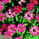 Kováts Zoltán Emlékülés Csemőben