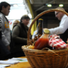 Pályaválasztási kiállítás