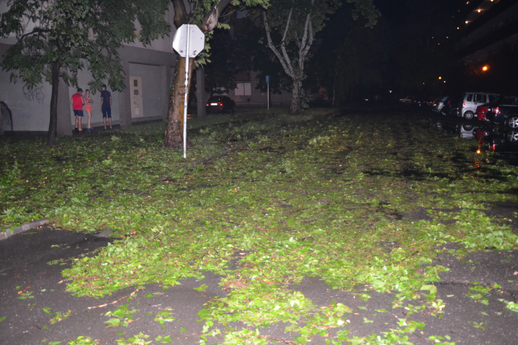 Háromszáz milliós kárt okozott a hétvégi vihar