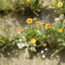 Kováts Zoltán Emlékülés Csemőben