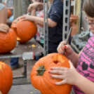 Családi tökfaragás az Oázis Kertészetben