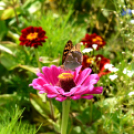 Kováts Zoltán Emlékülés Csemőben