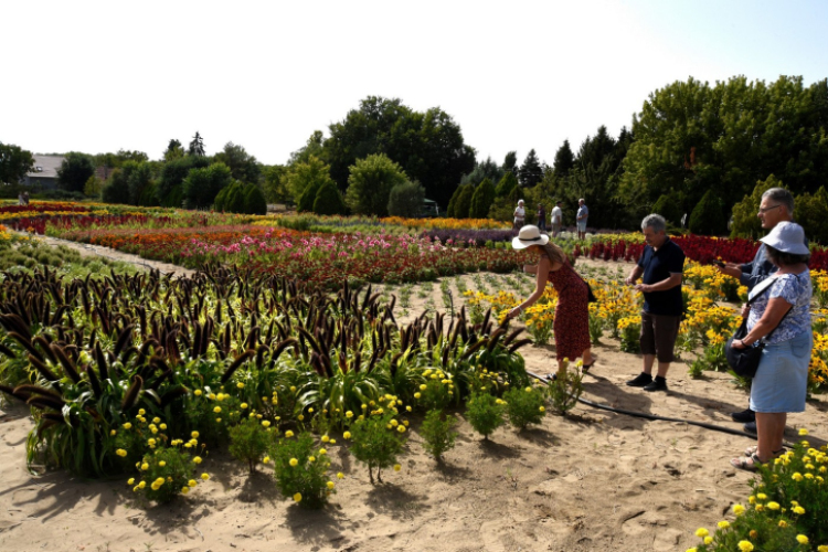 Kováts Zoltán Emlékülés Csemőben