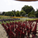 Kováts Zoltán Emlékülés Csemőben