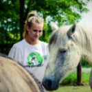 Nyitott Pince Napok - 2014