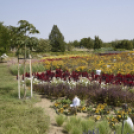 Kováts Zoltán Emlékülés Csemőben