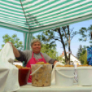 Csemői - Anyám tyúkja