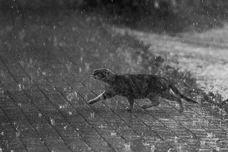 Kiadták a figyelmeztetést