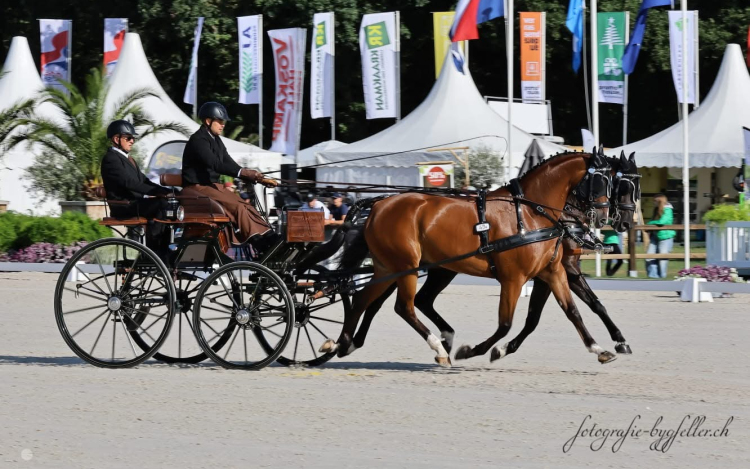 Magyar sikerek a Kettesfogathajtó Világbajnokságon